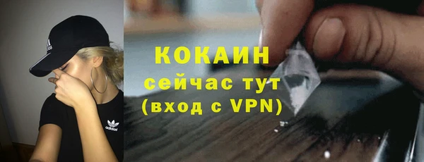 мяу мяу кристалл Ельня