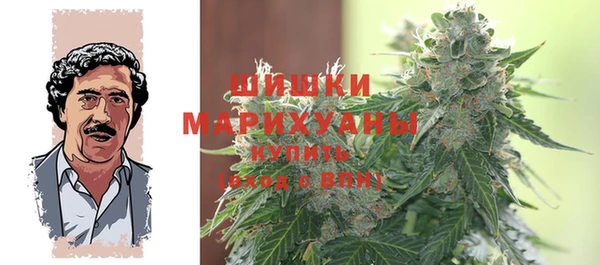 ешки Арсеньев
